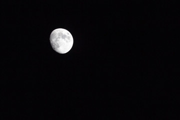 Mond mit Kratern vor schwarzem Nachthimmel