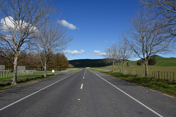 The hills and raods of the state highway  of napier