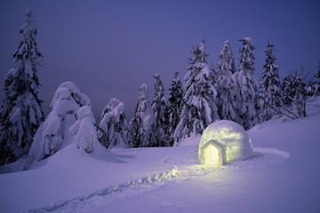 Snow igloo in the winter mountain forest