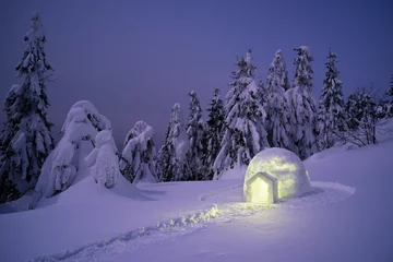 Schneeiglu im Wintergebirgswald © Oleksandr Kotenko