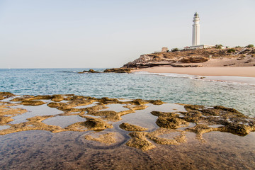 FORMAS DE ROCA EN LA ORILLA DE LA PLAYA DE TRAFALGAR