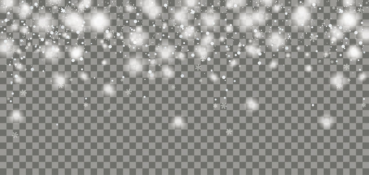 Snowfall Header Transparent