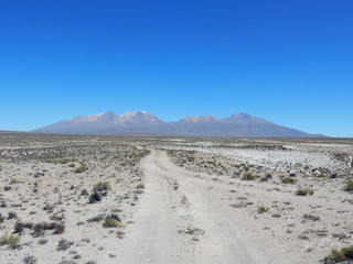 Fototapeta na wymiar Salinas y Aguada Blanca National Reserve near Arequipa, with Misti volcano, Peru