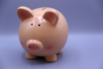 Piggy bank with savings