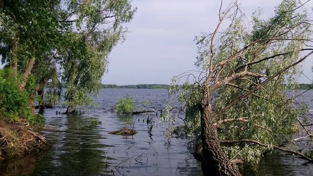 Bank of the Dnieper after the hurricane
