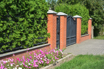 Green hedge fence with brick and metal door and gate. Live fencing.