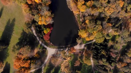 drone shot over fall in public park