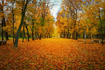 bright, beautiful, colorful autumn park