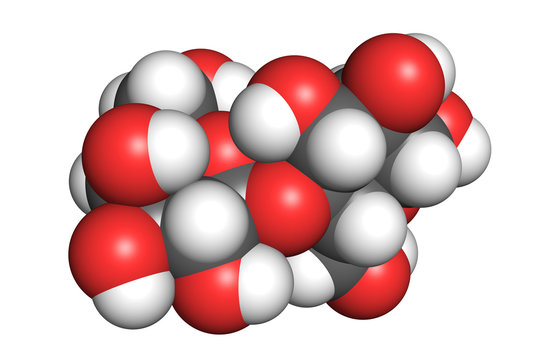 Space-filling model of a lactose molecule. Atoms are coloured according to convention (hydrogen-white, oxygen-red, carbon-grey).