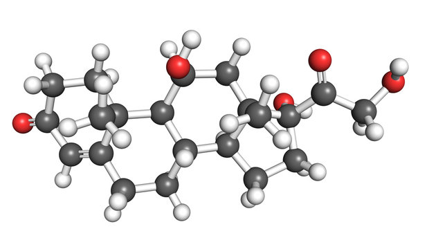 Cortisol is a hormone released by the adrenal gland, usually in response to stress. It is important for fat, protein and carbohydrate metabolism.