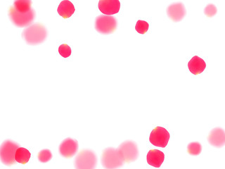 Pink rose petals falling vector valentine background.