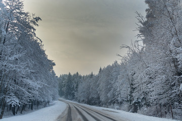 Зимний пейзаж. Грязная загородная дорога на фоне белого снежного пейзажа. Зимний лес.