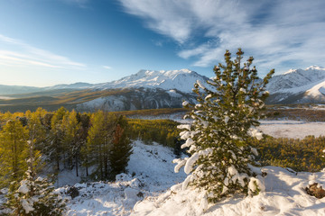 Majestic white spruces glowing by sunlight. Picturesque and gorgeous wintry scene. Alps ski resort.