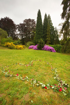 Well-tended garden with color flowers and roses lying on the grass in the shape of heart