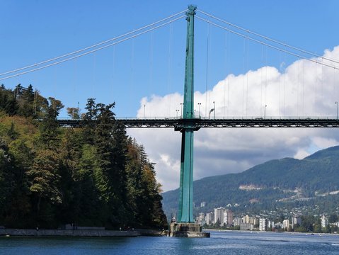 Piędź Bilder Durchsuchen 98 Archivfotos, und Videos