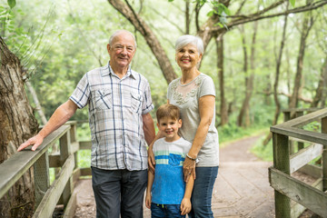 Grandparents with grandkid on summer forest having great time