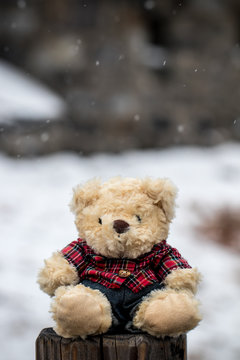 Alone cute teddy bear sitting on wood and snow is falling,white snow background blur stlye. like feel lonely,sadly,sadness,waiting. image for background, backdrop or greeting card for special events
