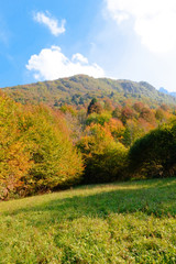Fototapeta premium Autumnal Mountain Landscape, Posina, Pasubio, Vicenza, Veneto, Italy; october 2018