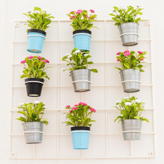Colorful flower pots hanging from a white wall