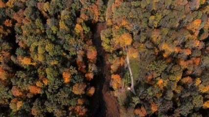 drone shot over fall in public park