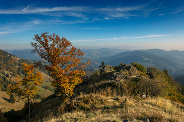 Blick vom Belchen ins kleine Wiesental