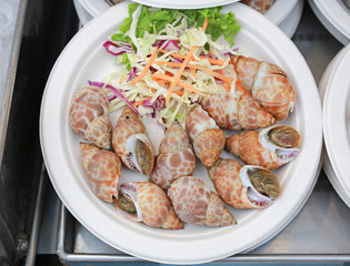 Grilled Spiral babylon snail on plate ready to eat. The famous thai street seafood.