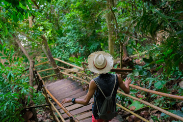 Traveler hikes along wooden stairs, a shadowy walkway through tropical vegetation in a national...