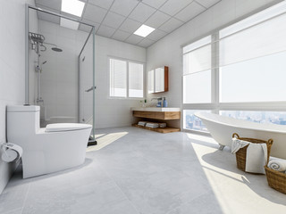 Fototapeta na wymiar Spacious bathroom with partition shower, bathtub, toilet and sink, mirror, etc.