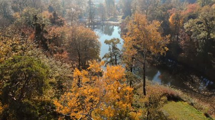 drone shot above water surface in autumn forest