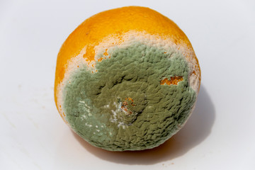 A Rotting Lemon