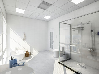 Shower room and toilet in a spacious and bright bathroom