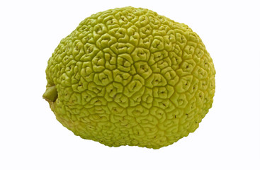 Obraz premium Osage orange isolated on white