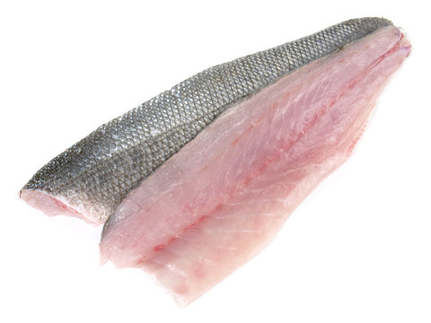 Loup de mer - Wolfsbarsch