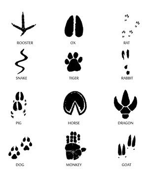 PrintChinese zodiac signs icons set.  Paw prints marks , footprints of rat, mouse, snake, dragon, pig, rooster, rabbit, horse, monkey, dog, tiger, ox, bull. Vector illustration