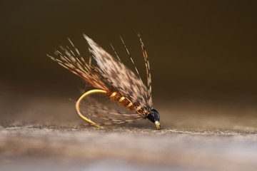 Fiskeimarka, flytying