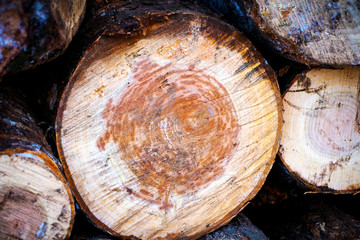 logs for prepare to firework in winter seasons and cooking. make hotness to keep body warming 