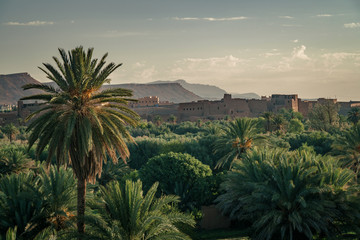 Fototapeta na wymiar Palm Oasis and Kasbah in Tinghir, Morocco