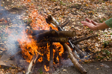 man's hands near wooden camp fire