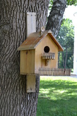 house for birds on the tree