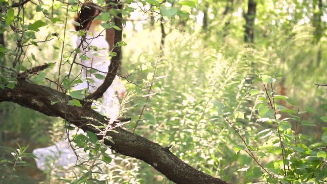 cute dark-haired girl in a long white light vintage luxurious summer dress walks slowly in the amazing forest and the rays of the sun alone, holding the hem of the dress with her hand, looking around