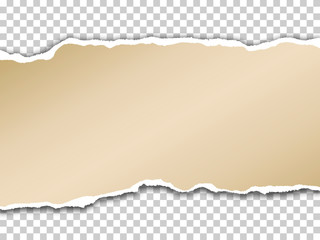 Torn paper with shadow on transparent background. Vector realistic ripped paper note - 228676636