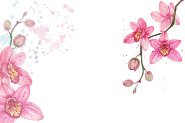 Watercolor orchid flowers isolated on white background. Orchid blooming branch. Hand painted illustration for greetings, invitations, pattern design.