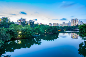 Fototapeta na wymiar Night view of lychee Park in Shenzhen