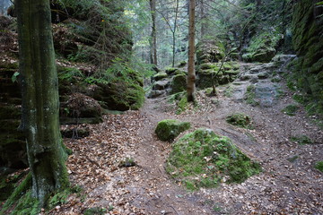 Nationalpark Sächsische Schweiz - Schwedenlöcher