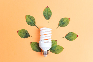 Energy saving lightbulb with green leaves.  Save energy concept.