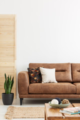Pillows on leather couch in white living room interior with plant, rug and wooden table. Real photo