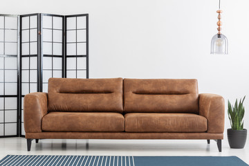 Screen behind leather sofa in white living room interior with lamp and plant near carpet. Real photo
