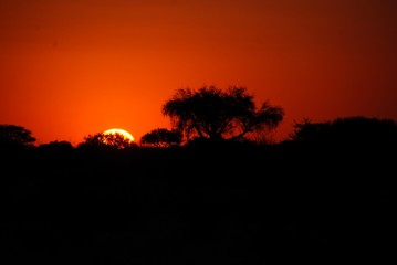 Fototapeta na wymiar Tramonto nel deserto del Kalahari in Namibia, Africa
