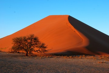 Fototapeta na wymiar Sossusvlei nel Namib Naukluft National Park in Namibia Africa