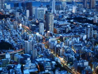 Fotobehang 東京の夜景 © kiwaha